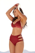 Aphrodite Triangle Bra - Maroon Suede Top